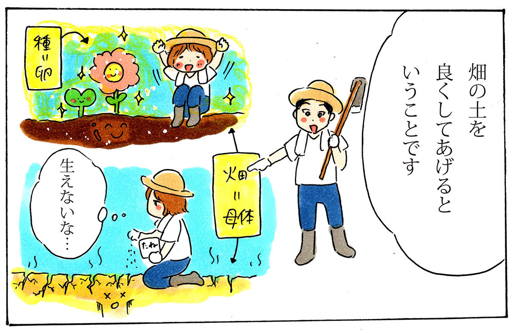 妊活整体とは畑の土