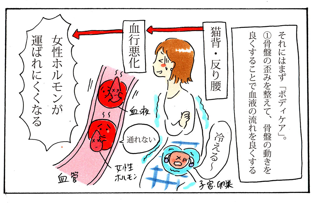 血流が悪いと、女性ホルモンが運ばれにくくなる