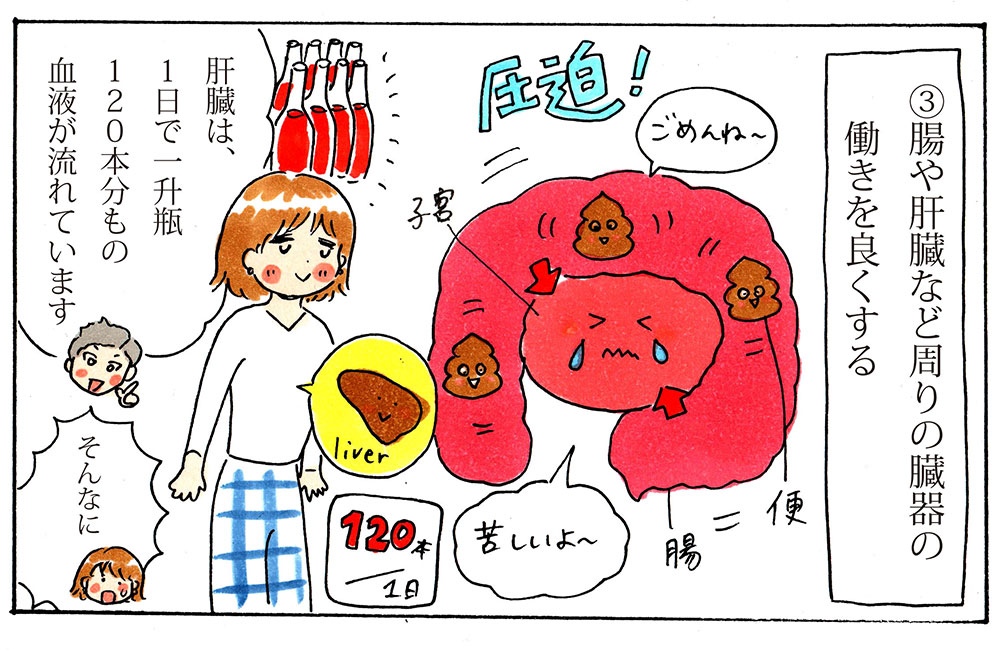 腸や肝臓など周りの臓器の働きを良くする